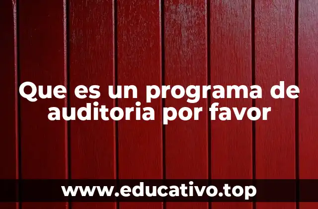 Que es un programa de auditoria por favor