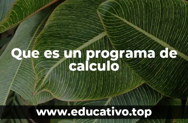 Que es un programa de calculo