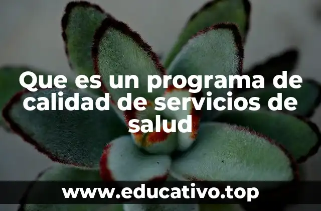 Que es un programa de calidad de servicios de salud