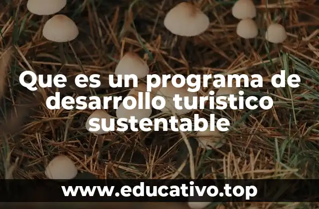 Que es un programa de desarrollo turistico sustentable