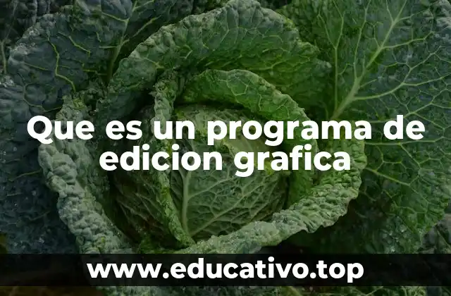 Que es un programa de edicion grafica