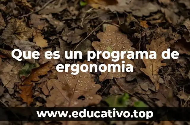 Que es un programa de ergonomia