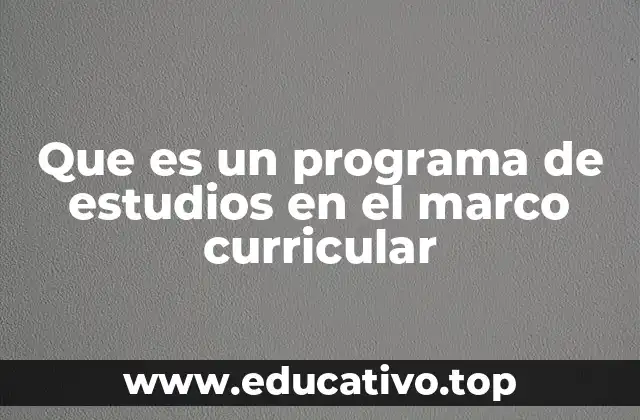 Que es un programa de estudios en el marco curricular