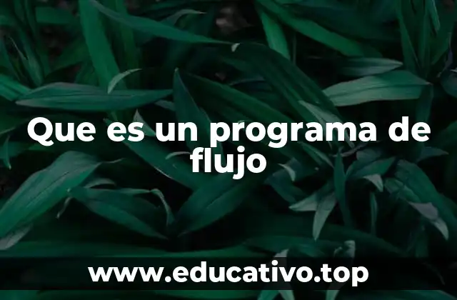 Que es un programa de flujo