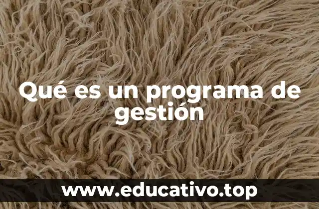 Qué es un programa de gestión
