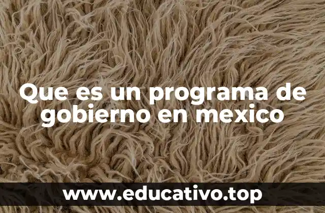 Que es un programa de gobierno en mexico