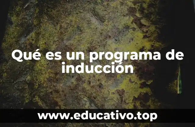 Qué es un programa de inducción