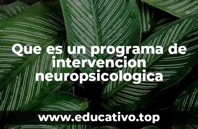 Que es un programa de intervencion neuropsicologica