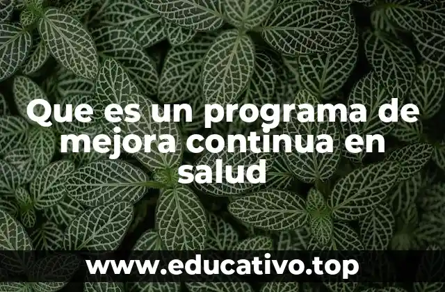 Que es un programa de mejora continua en salud