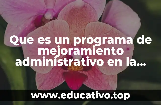 Que es un programa de mejoramiento administrativo en la escuela