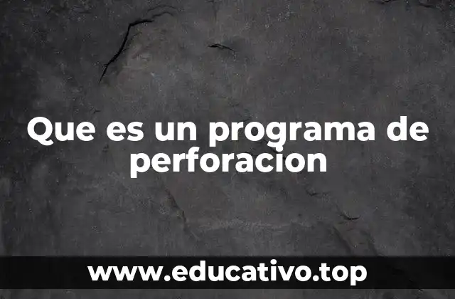 Que es un programa de perforacion