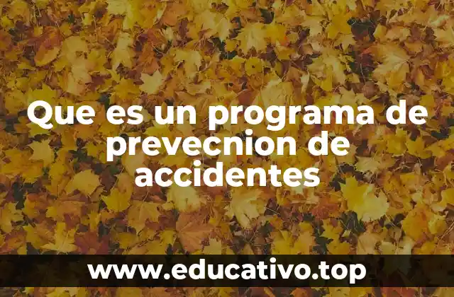 Que es un programa de prevecnion de accidentes