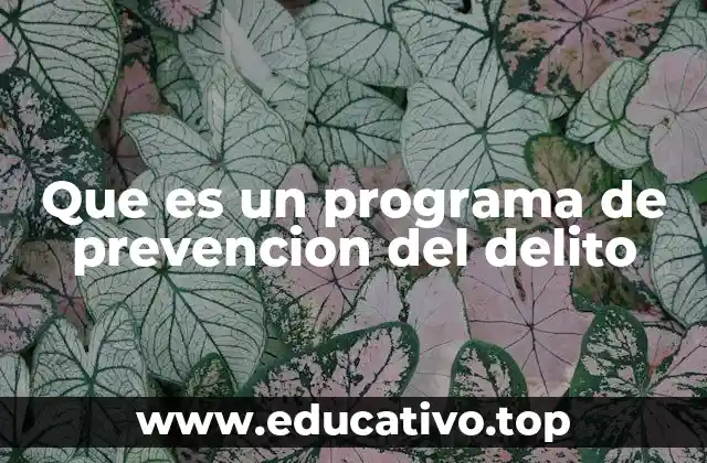 Que es un programa de prevencion del delito