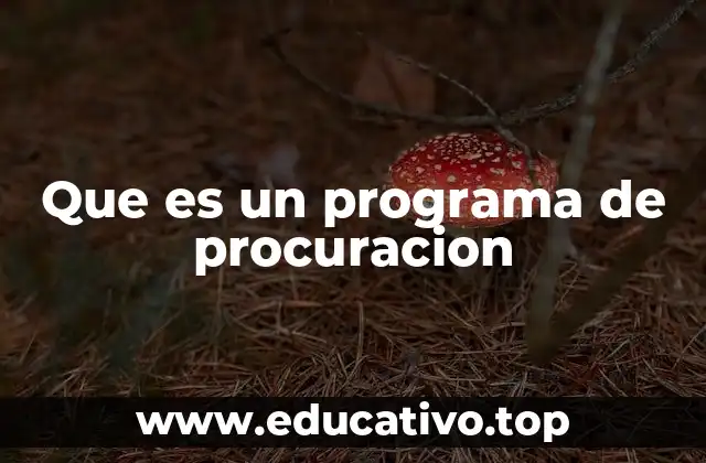 La importancia de una gestión estructurada en adquisiciones