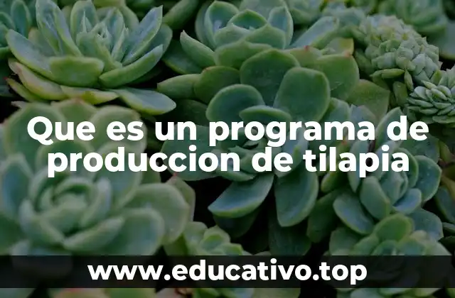 Que es un programa de produccion de tilapia