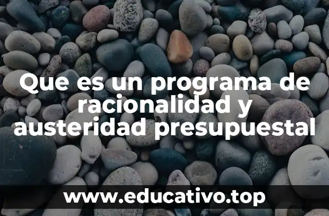 Que es un programa de racionalidad y austeridad presupuestal