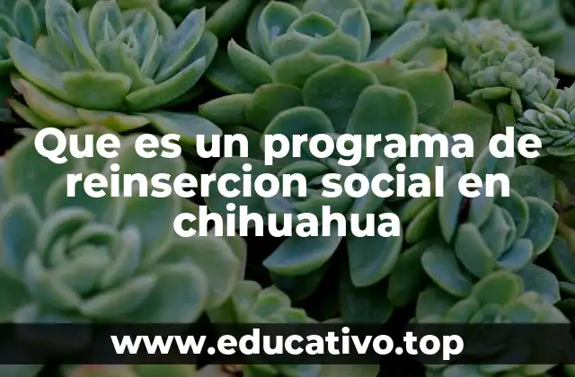 Que es un programa de reinsercion social en chihuahua