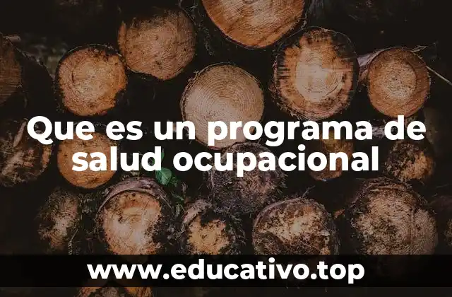 Que es un programa de salud ocupacional