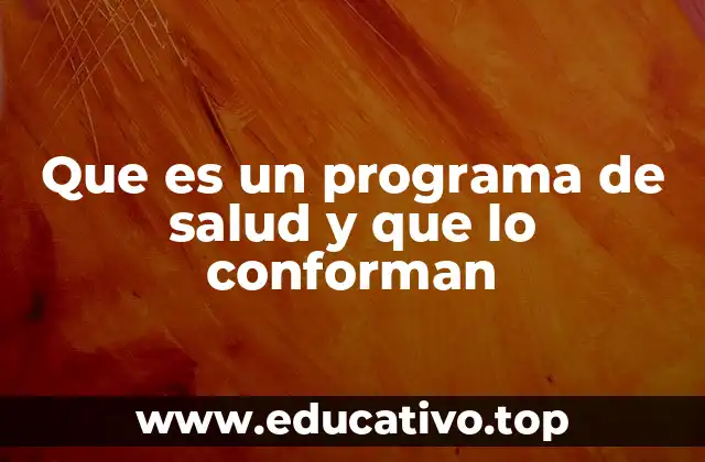 Que es un programa de salud y que lo conforman