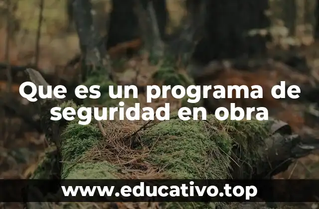 Que es un programa de seguridad en obra