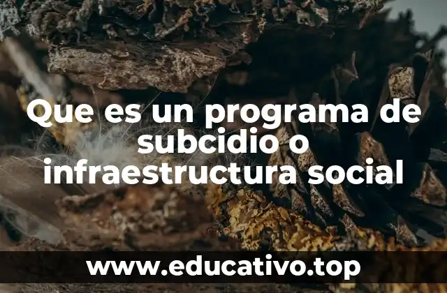 Que es un programa de subcidio o infraestructura social