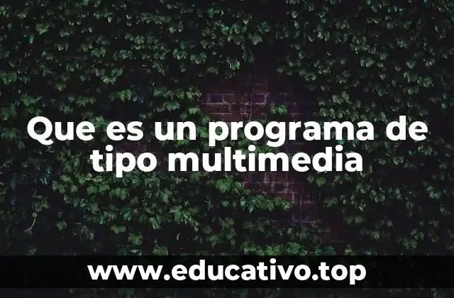 Que es un programa de tipo multimedia