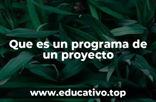 Que es un programa de un proyecto