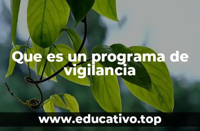 Que es un programa de vigilancia