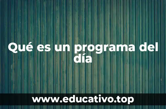 Qué es un programa del día