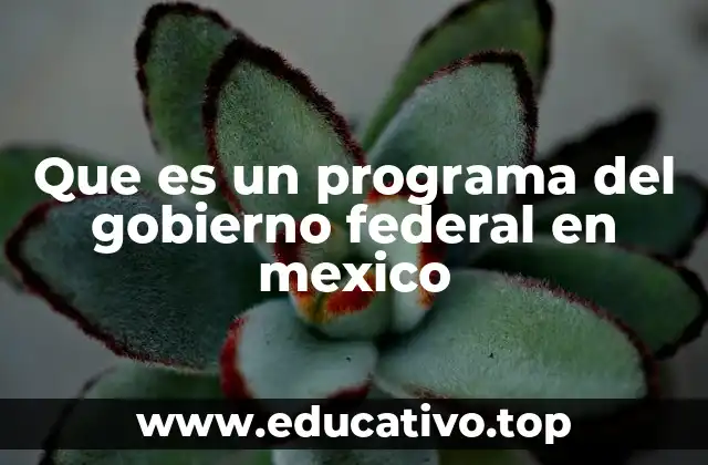 Que es un programa del gobierno federal en mexico