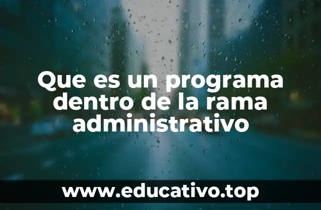 Que es un programa dentro de la rama administrativo