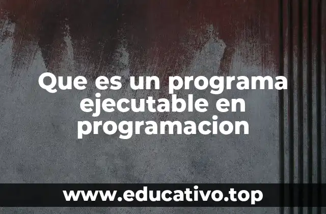 Que es un programa ejecutable en programacion