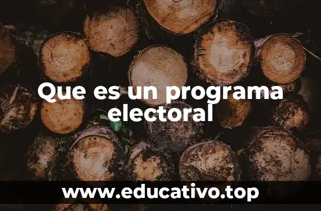 Que es un programa electoral