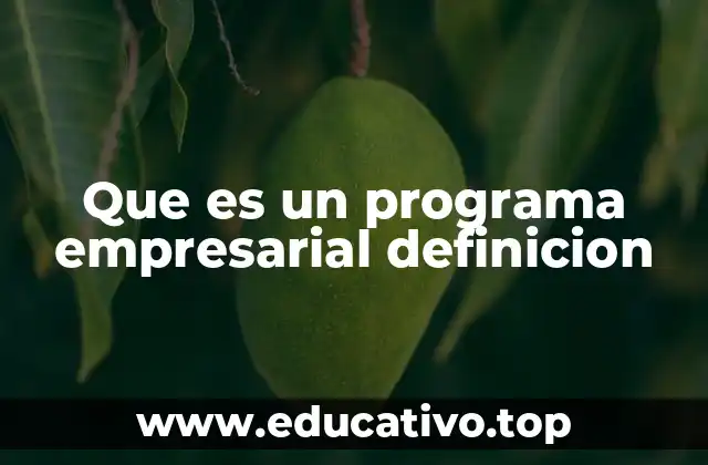 Que es un programa empresarial definicion