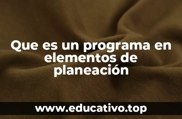 Que es un programa en elementos de planeación