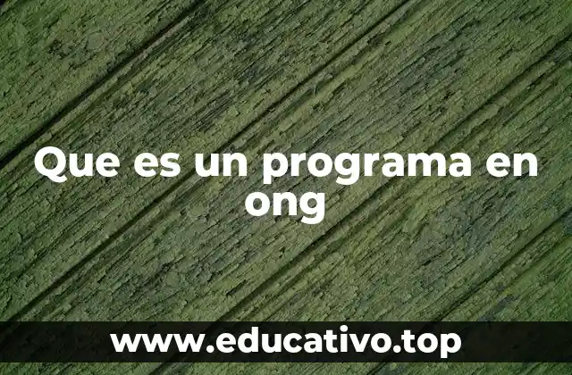 Que es un programa en ong