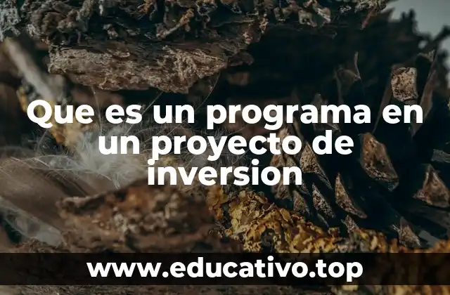 Que es un programa en un proyecto de inversion