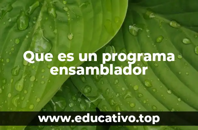 Que es un programa ensamblador