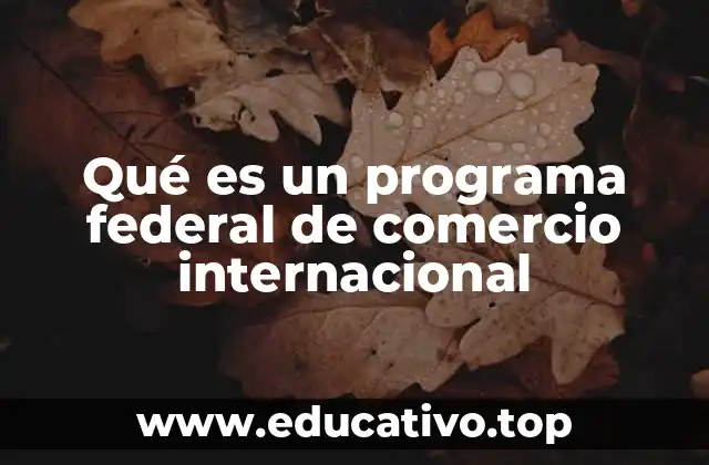 Qué es un programa federal de comercio internacional