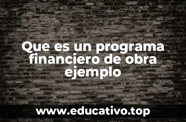 Que es un programa financiero de obra ejemplo