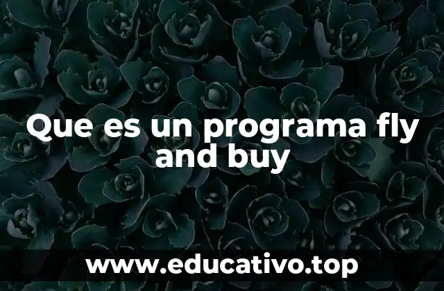 Que es un programa fly and buy