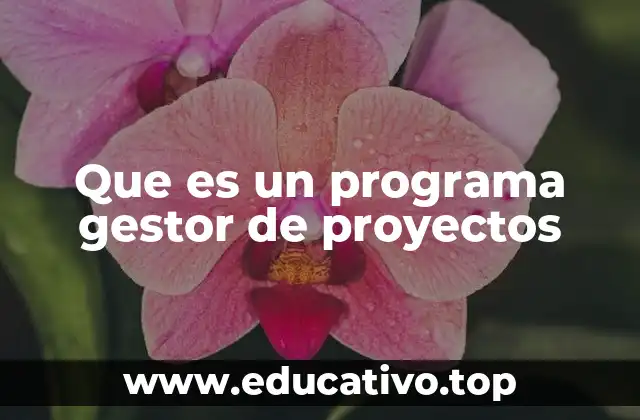 Que es un programa gestor de proyectos