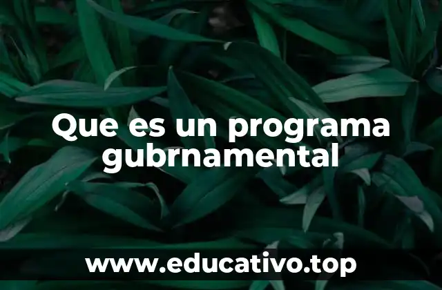 La importancia de los programas en el desarrollo nacional