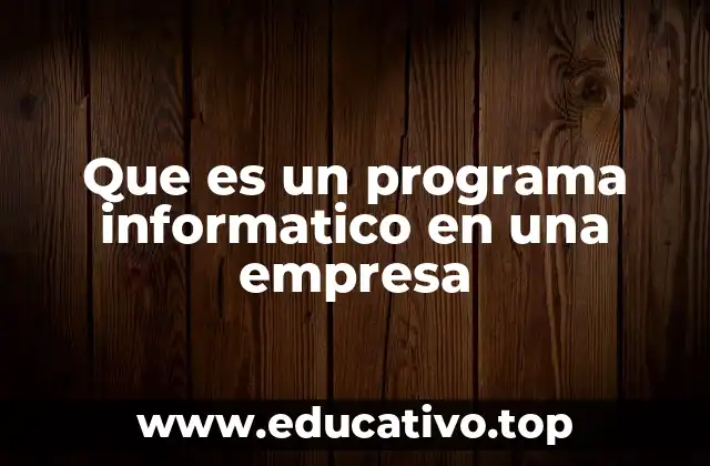Que es un programa informatico en una empresa