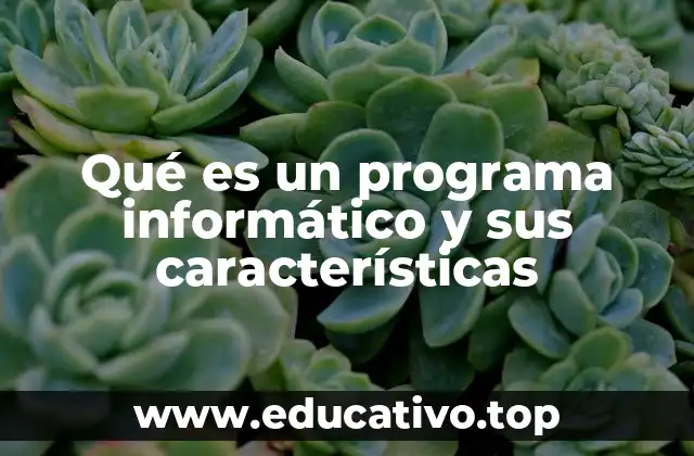 Qué es un programa informático y sus características