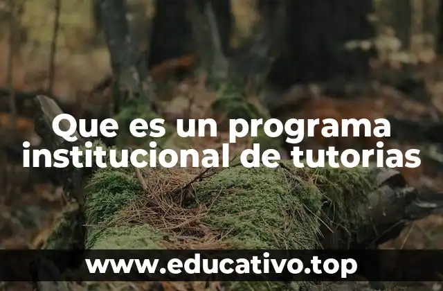 Que es un programa institucional de tutorias