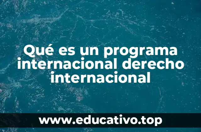 Qué es un programa internacional derecho internacional