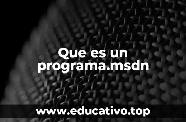 Que es un programa.msdn