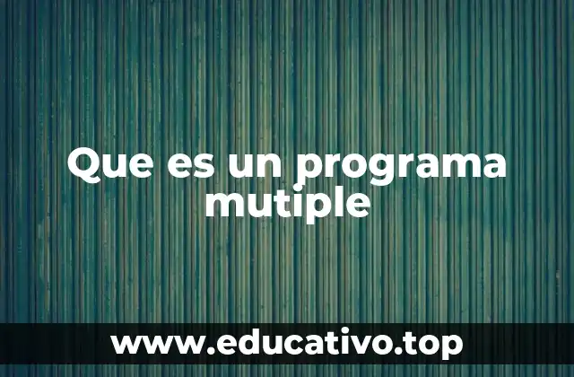 Que es un programa mutiple