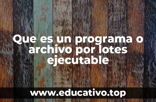 Que es un programa o archivo por lotes ejecutable